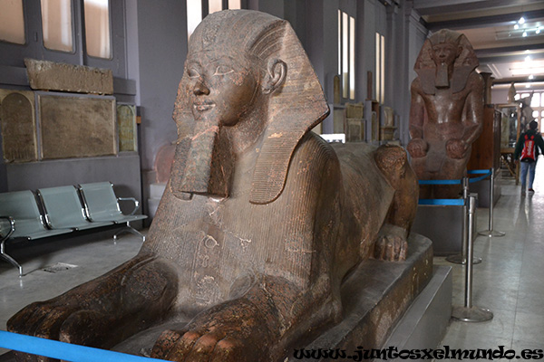 Museo de El Cairo 5