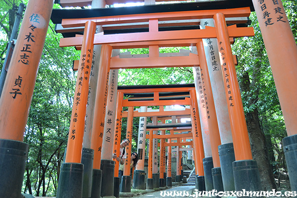 Fushimi Inari 5