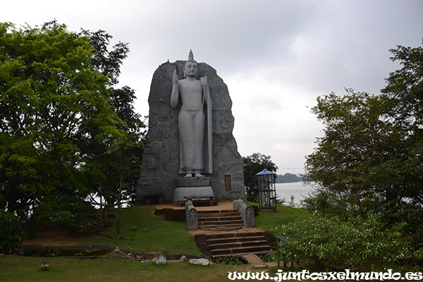 Buda direccion Polonnaruwa