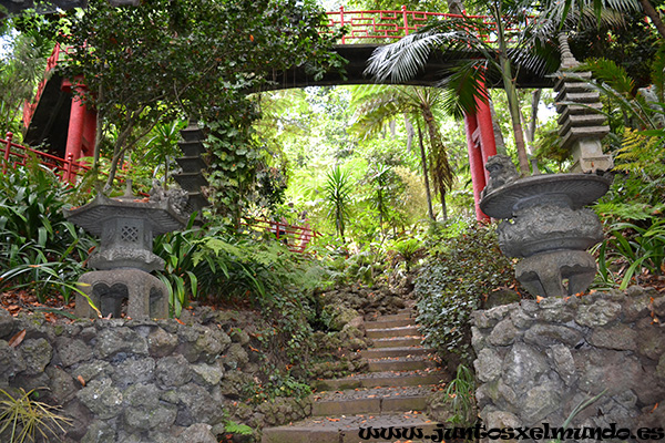 Jardim Tropical Monte Palace 4