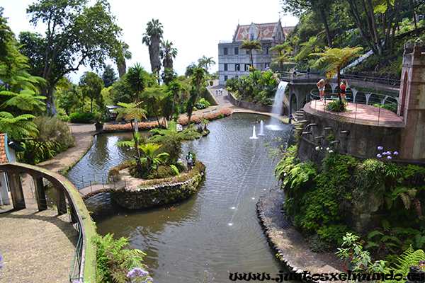 Jardim Tropical Monte Palace 5