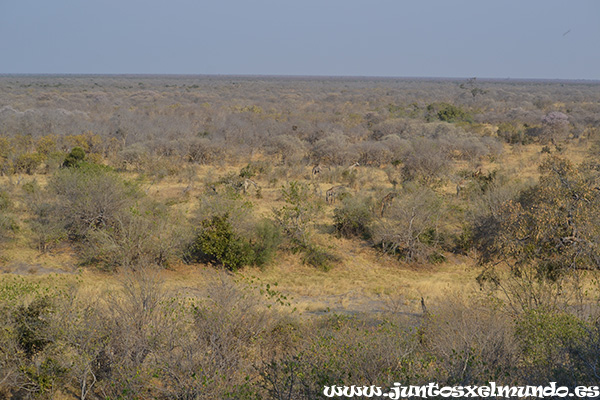 Mirador Savuti 1