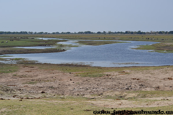 Rio Chobe