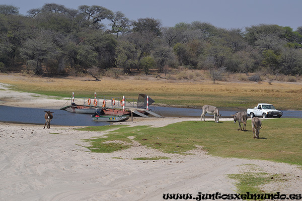 Acceso a Makgadikgadi pans