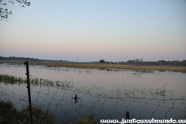 Camping Maun 1