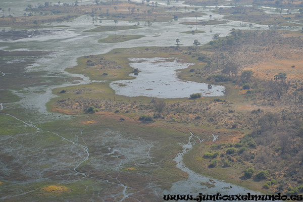 Sobrevuelo del Delta del Okavango 1