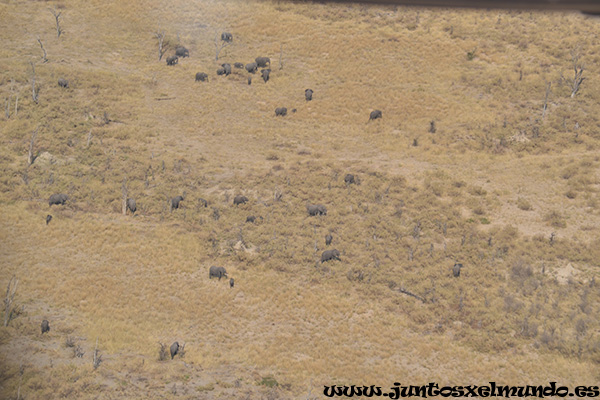 Sobrevuelo del Delta del Okavango 2