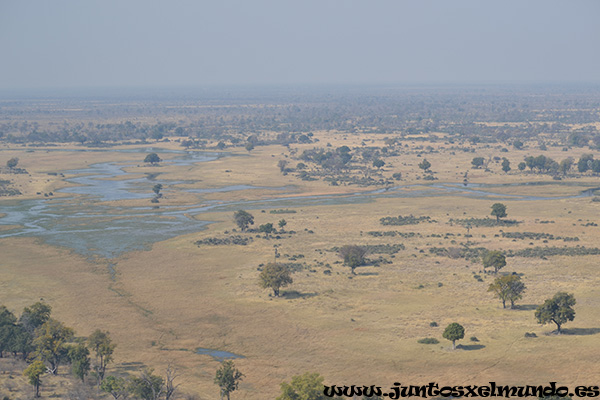 Sobrevuelo del Delta del Okavango 3
