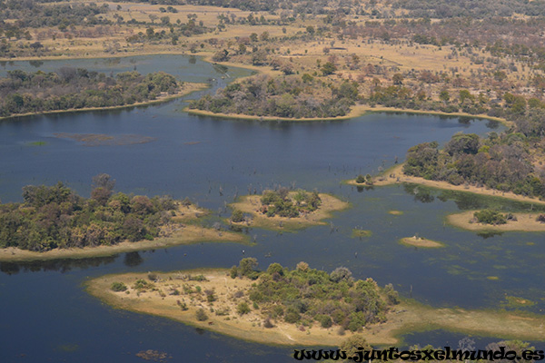 Sobrevuelo del Delta del Okavango 4