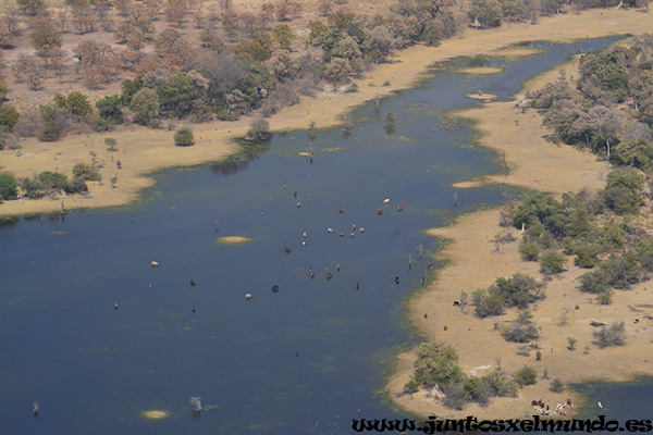 Sobrevuelo del Delta del Okavango 5