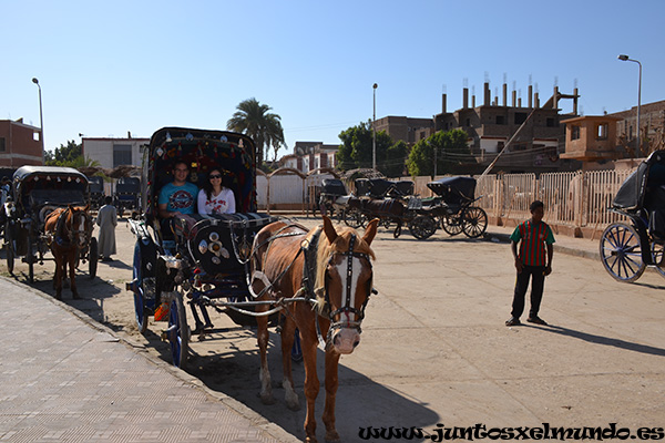 Paseo en calesa por Edfu 1