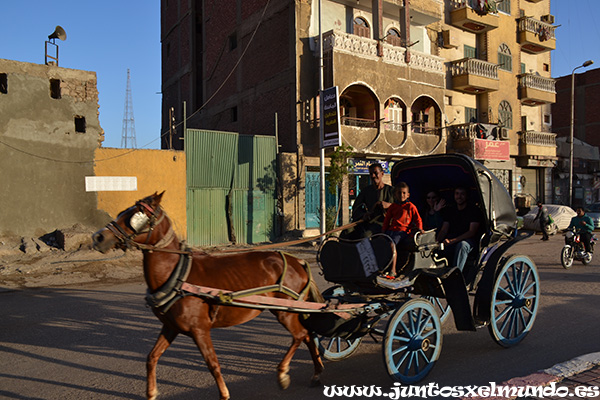 Paseo en calesa por Aswan 1