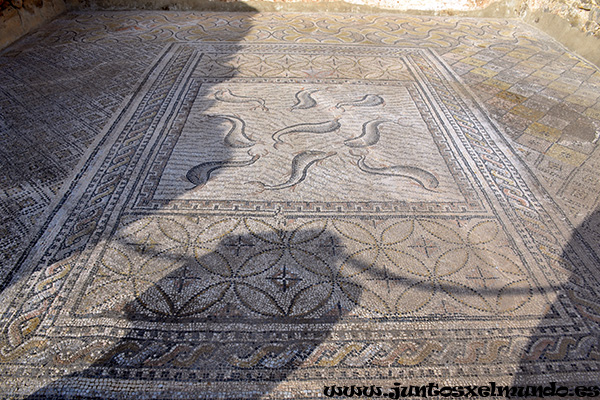 Volubilis 2