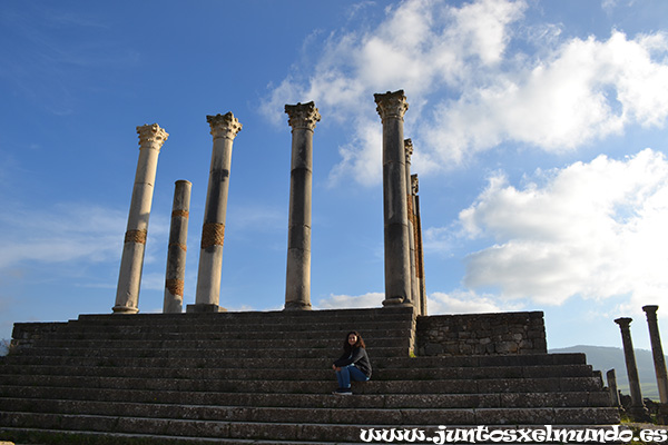 Volubilis 3