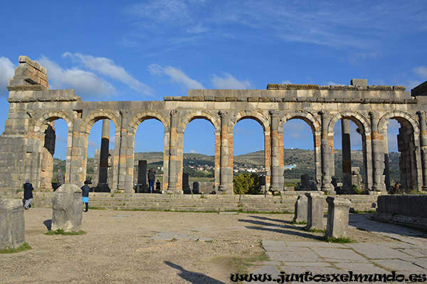 Volubilis 4