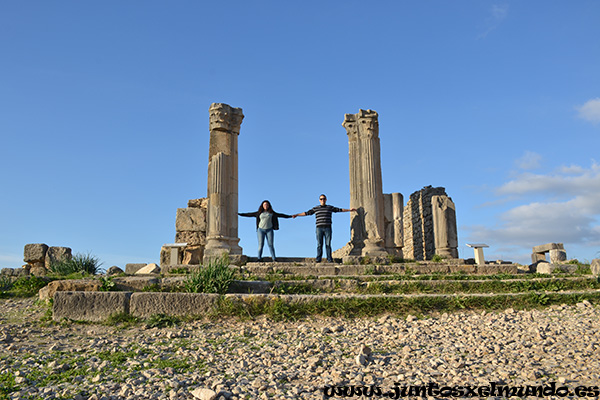 Volubilis 5