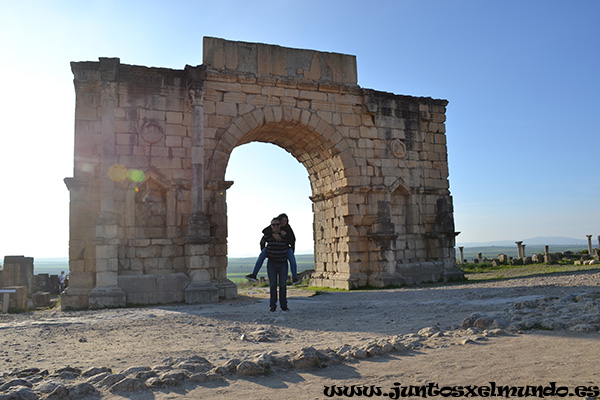 Volubilis 6