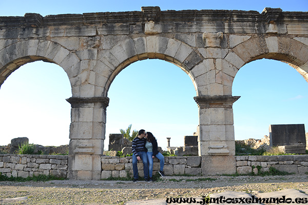 Volubilis 7