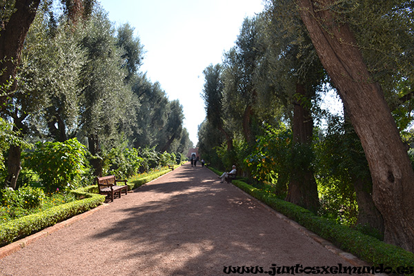 Hotel La Mamounia 1