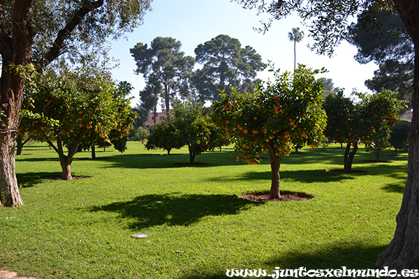 Hotel La Mamounia 2