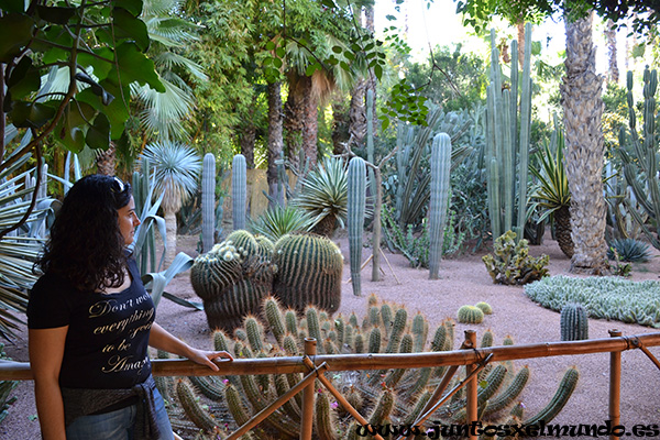 Jardines Majorelle 1