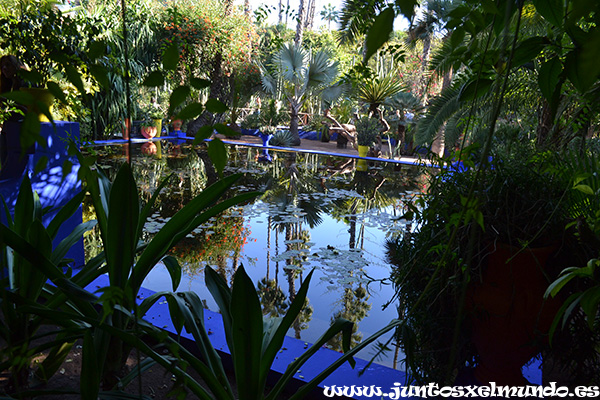 Jardines Majorelle 3