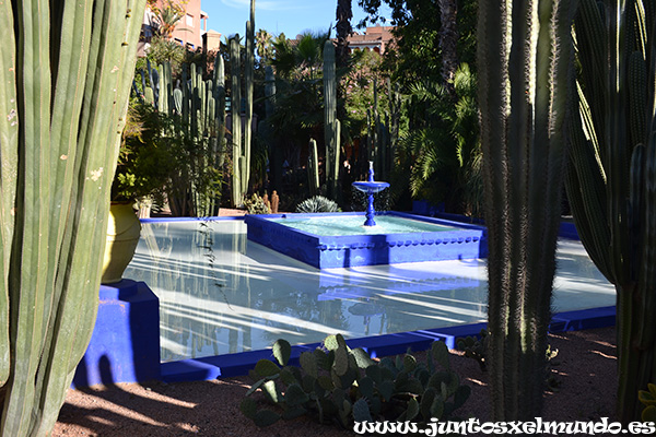 Jardines Majorelle 5