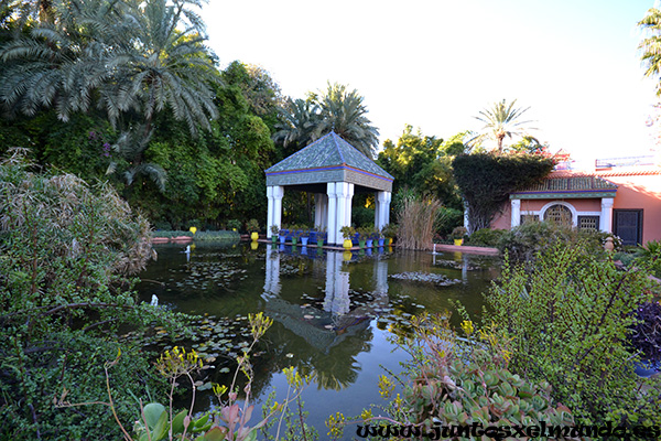 Jardines Majorelle 8