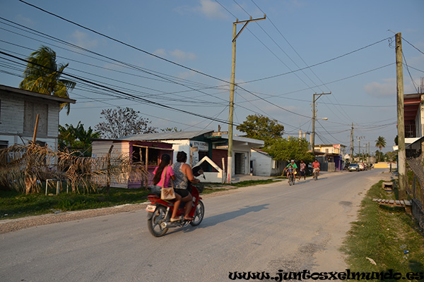 Orange Walk 4