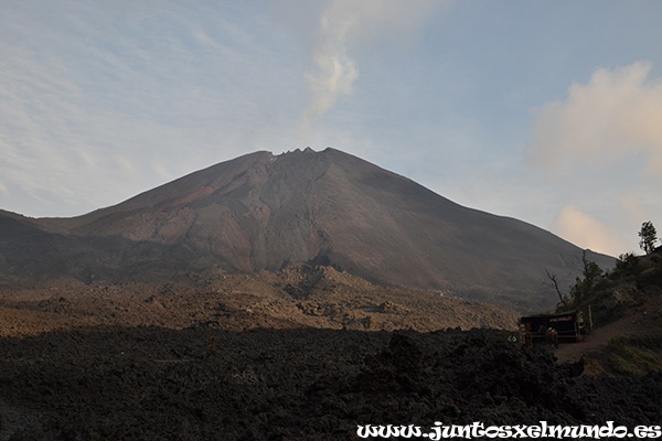 Volcan Pacaya 4