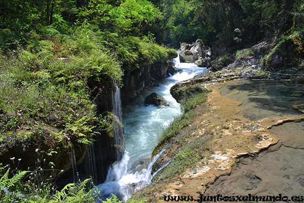 Semuc Champey 1