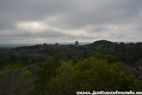 Vistas desde el Templo IV 1