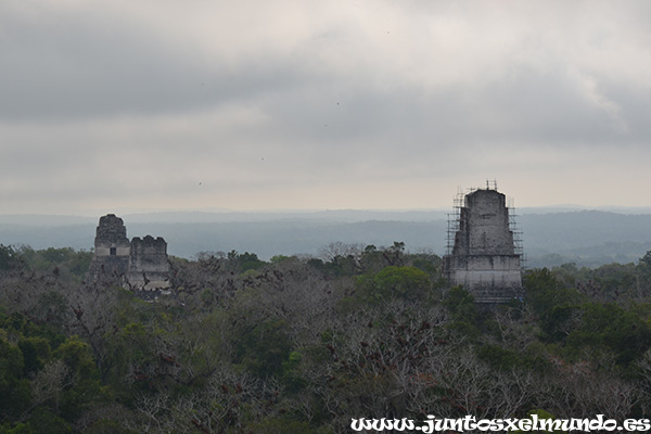 Vistas desde el Templo IV 2