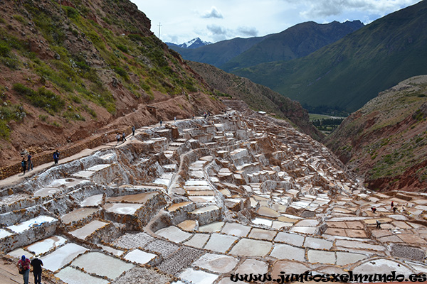 Salineras de Maras 1