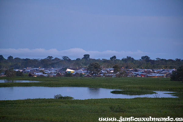 Amazonas desde Iquitos 3