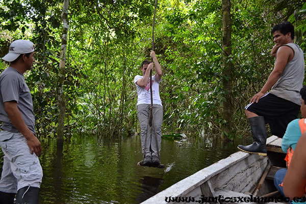 Columpiandonos en lianas