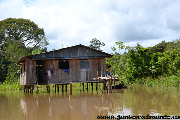De Iquitos a Wimba Lodge 3