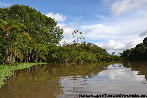 Navegando por el Amazonas 2