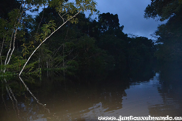 Amanecer en el Amazonas 1