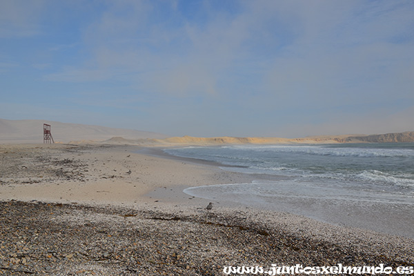 Reserva Nacional Paracas 6