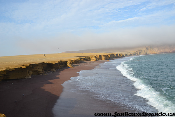 Reserva Nacional Paracas 7