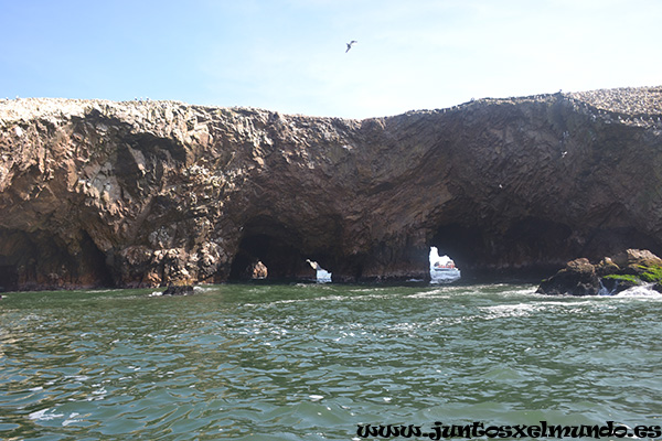 Islas Ballestas 4