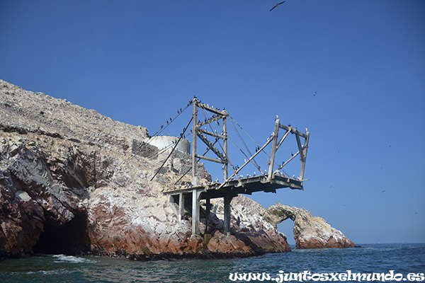 Islas Ballestas 5