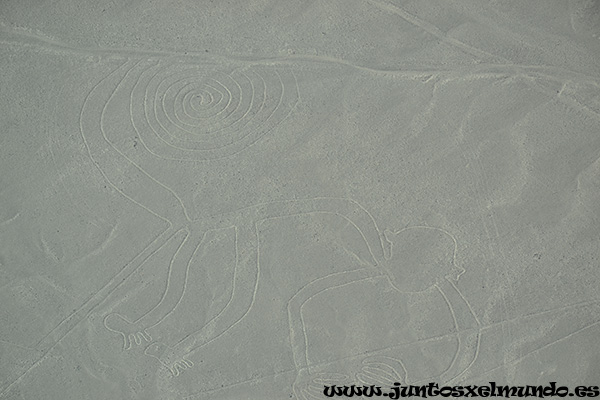 Vuelo linias de Nasca 6