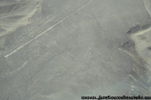 Vuelo linias de Nasca 7