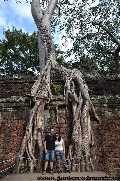 Ta Prohm 4