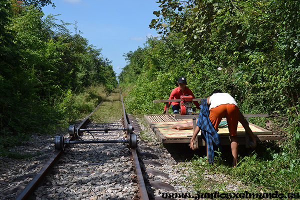 Tren de bambu 3