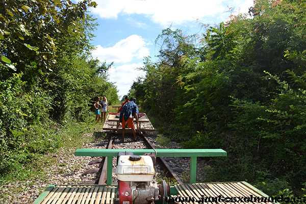 Tren de bambu 4