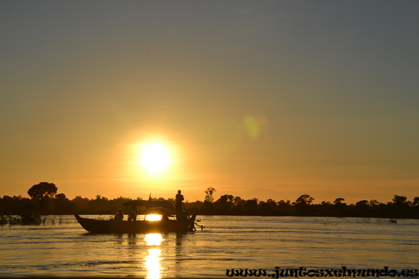 Delfines de Irrawaddy 4