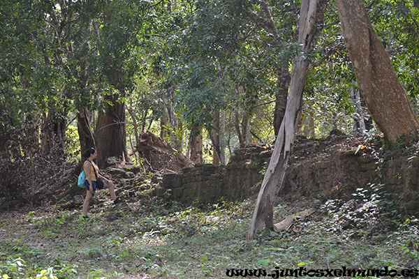 Sambor Prei Kuk Prasat Tao 1